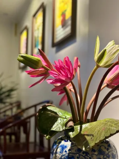 Calla Lily Hotel – Photos 10